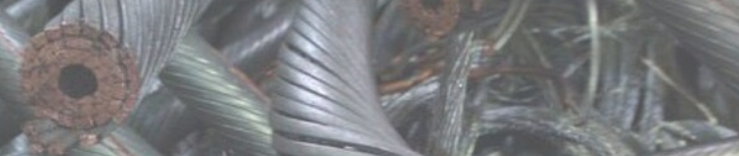 sdsf.png